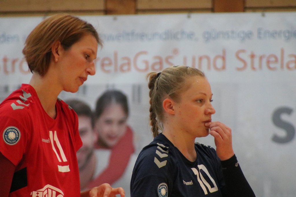 Skurios Volleys Borken in entscheidenden Phasen zu stark für Stralsunder Wildcats